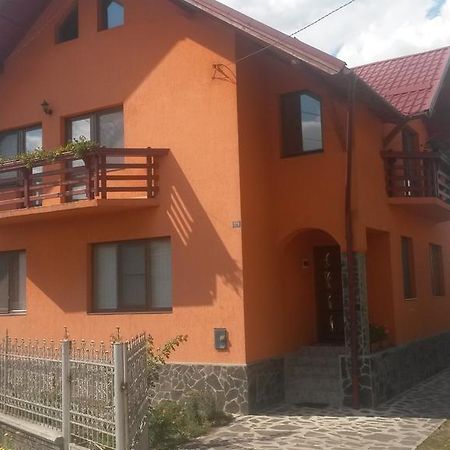 Pensiunea Adi Săpînţa Εξωτερικό φωτογραφία