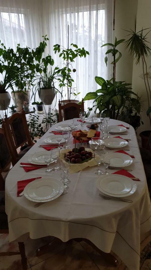 Pensiunea Adi Săpînţa Εξωτερικό φωτογραφία